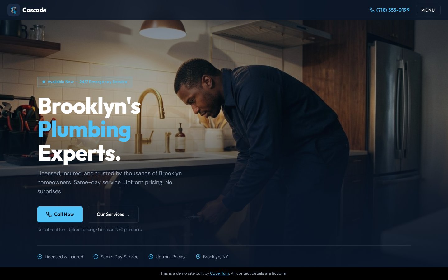 Plumbing demo preview